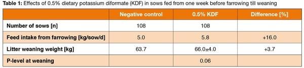 Dietary potassium diformate in sow nutrition in Latin America – impact on sows and piglets - Image 1