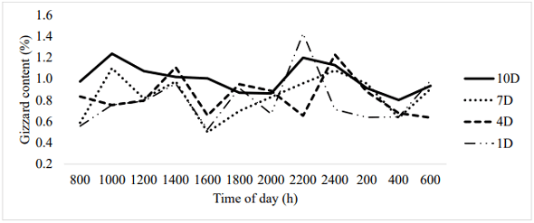 Figure 2. Effect of dark exposure and time of day on gizzard content expressed as a percentage of body weight. The dark periods corresponding to the lighting treatments are as follows: 2000 to 600 (10D), 2300 to 600 (7D), 200 to 600 (4D), and 500 to 600 (1D).