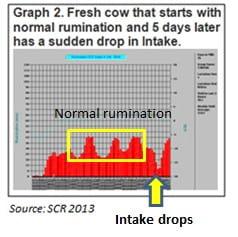 Remote Health Monitoring Improves Dairy Cow’s Well-being - Image 2