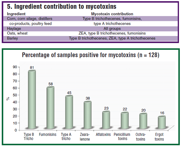 Surveillance program tracks mycotoxin levels - Image 3