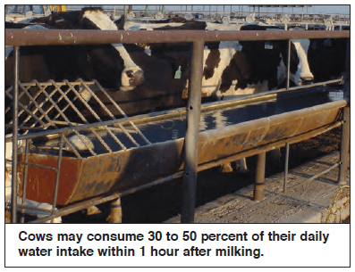 Quantity and Quality of Water for Dairy Cattle - Image 6