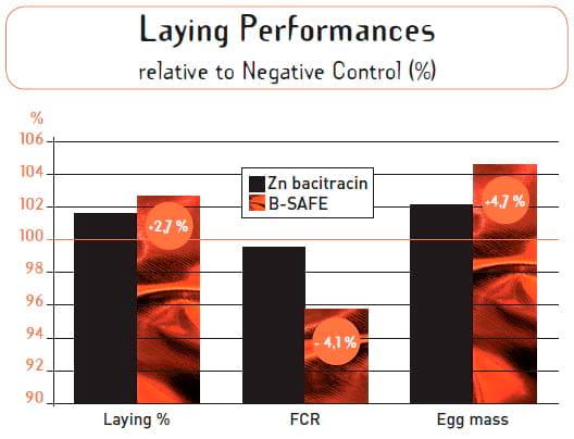 Effects of a patented activated clay on laying hens performances - Image 3