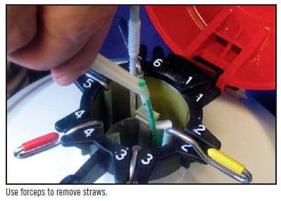 Handling of Frozen Semen Straws - Image 10