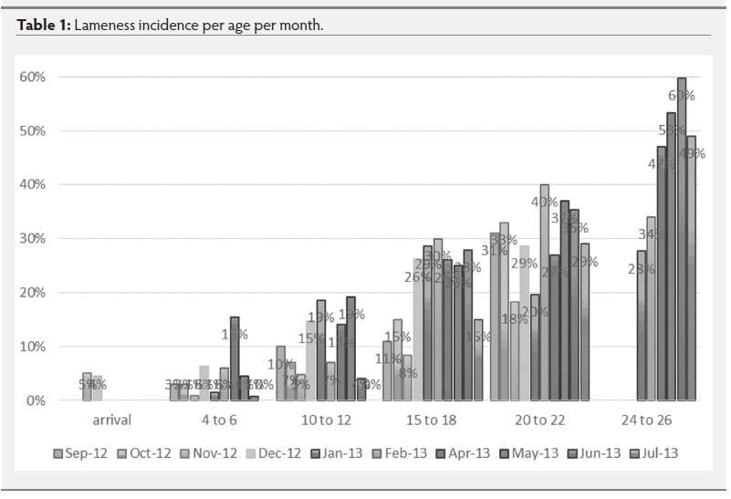 Mycoplasma hyosynoviae A Case Study: Quantitative assessment of incidence and severity across time alongside a diagnostic monitoring plan and intervention - Image 11