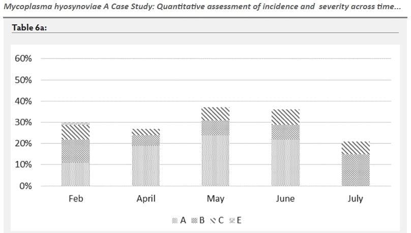 Mycoplasma hyosynoviae A Case Study: Quantitative assessment of incidence and severity across time alongside a diagnostic monitoring plan and intervention - Image 25