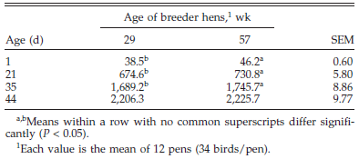 Influence of Egg Shell Embryonic Incubation Temperature and Broiler Breeder Flock Age on Posthatch Growth Performance and Carcass Characteristics - Image 2