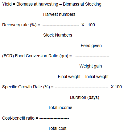 Economics and Productivity of Rice Cum Freshwater Prawn (MACROBRACHIUM ROSENBERGII) in the Gher Farming System - Image 2