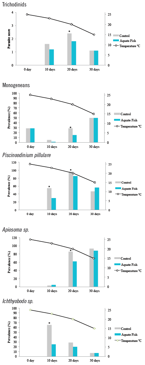 A nutritional additive increases survival and reduces parasitism in Nile tilapia during masculinisation - Image 5