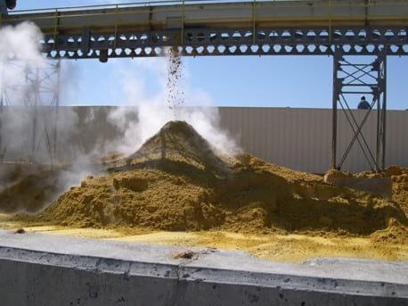 Fuel Ethanol Coproducts for Livestock Diets - Image 17