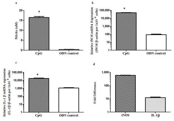 In Ovo Delivery of CpG DNA Reduces Avian Infectious Laryngotracheitis Virus Induced Mortality and Morbidity - Image 3