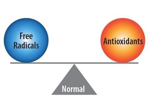 Oxidative stress: Impact on dairy health and immune function - Image 3