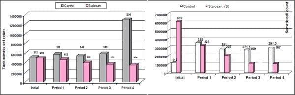 Effect of Stalosan F powder application on the improvement of animal welfare in cattle stables - Image 2