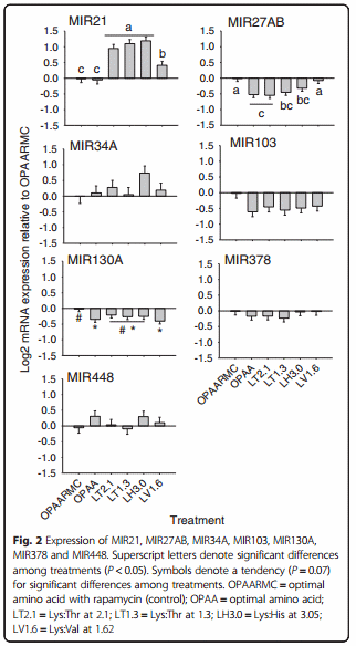 Essential amino acid ratios and mTOR affect lipogenic gene networks and miRNA expression in bovine mammary epithelial cells - Image 3