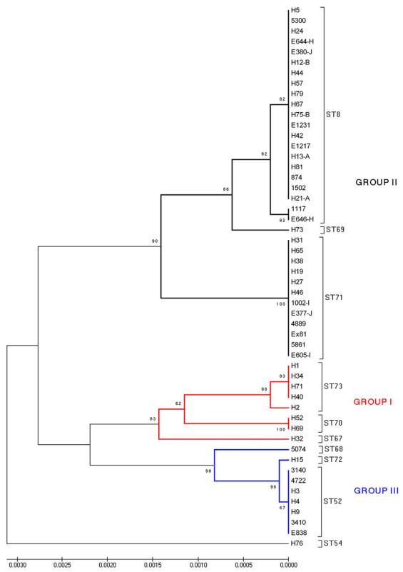 Dissemination of Clonal Groups of Brachyspira hyodysenteriae amongst Pig Farms in Spain, and Their Relationships to Isolates from Other Countries - Image 3