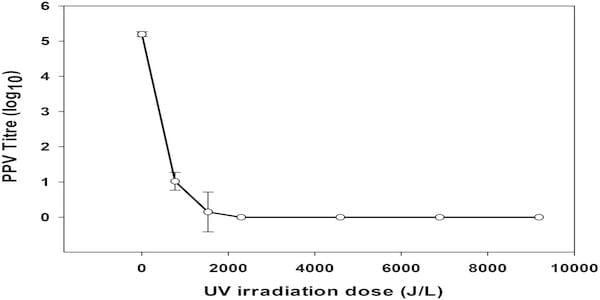 Ultraviolet Light (UV) Inactivation of Porcine Parvovirus in Liquid Plasma and Effect of UV Irradiated Spray Dried Porcine Plasma on Performance of Weaned Pigs - Image 5