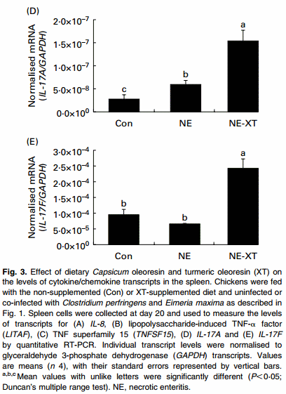 Dietary supplementation of young broiler chickens with Capsicum and turmeric oleoresins increases resistance to necrotic enteritis - Image 7