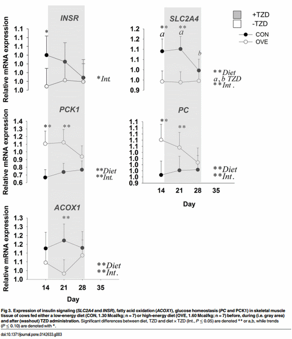 Insulin Sensitivity in Adipose and Skeletal Muscle Tissue of Dairy Cows in Response to Dietary Energy Level and 2,4-Thiazolidinedione (TZD) - Image 7