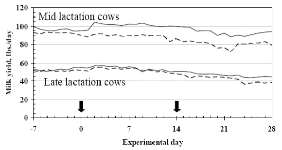 An Update on Vitamins for Dairy Cattle - Image 5