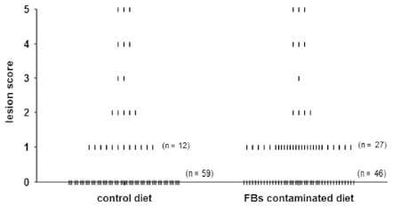 Fumonisins affect the intestinal microbial homeostasis in broiler chickens, predisposing to necrotic enteritis - Image 13