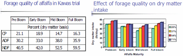 Using Digestible NDF to Determine Forage Quality - Image 12