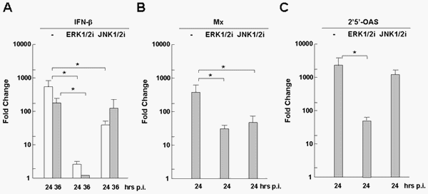 Distinct Regulation of Host Responses by ERK and JNK MAP Kinases in Swine Macrophages Infected with Pandemic (H1N1) 2009 Influenza Virus - Image 7