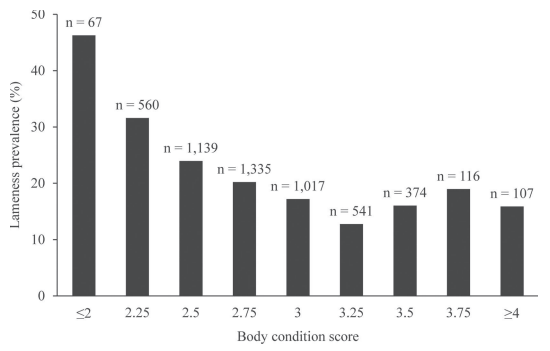 Prevalence of lameness and associated risk factors in Canadian Holstein-Friesian cows housed in freestall barns - Image 7