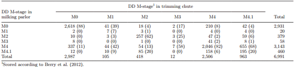 Validation of the M-stage scoring system for digital dermatitis on dairy cows in the milking parlor - Image 5