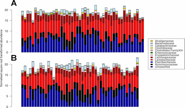 Sorghum and wheat differentially affect caecal microbiota and associated performance characteristics of meat chickens - Image 2