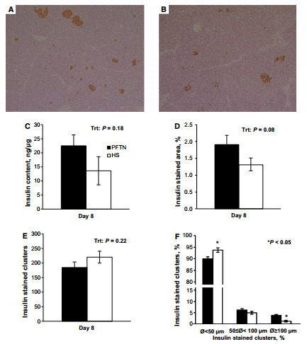 Effects of heat stress on carbohydrate and lipid metabolism in growing pigs - Image 6
