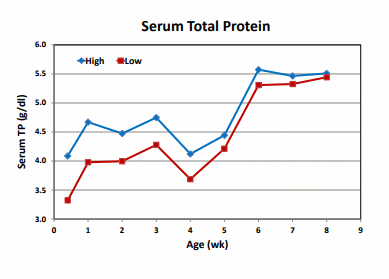 Changes in serum IgG and total protein concentrations in calves fed differing amounts of colostrum replacer - Image 2