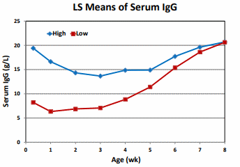 Changes in serum IgG and total protein concentrations in calves fed differing amounts of colostrum replacer - Image 1