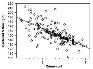Reactions in the rumen – limits and potential for improved animal production efficiency - Image 4