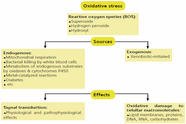 Oxidative stress protection of embryos by 