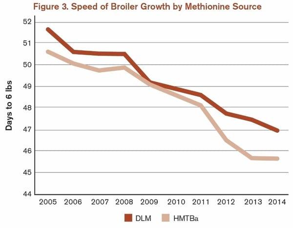 Protect Broiler Performance and Profits with HMTBa Methionine - Image 3