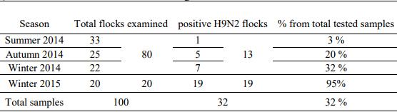 Pathogenicity of an Avian Influenza H9N2 Virus isolated From Broiler Chickens in Egypt - Image 2