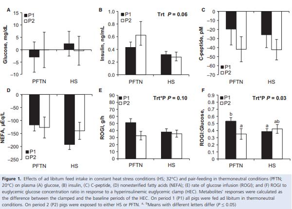Heat stress increases insulin sensitivity in pigs - Image 4