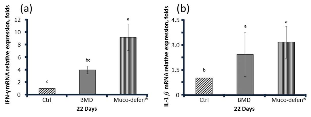Effects of Muco-defen® on Clostridium perfringens-induced necrotic enteritis in broilers - Image 5