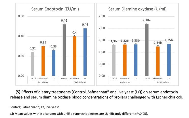 Safmannan® helps counteract E. coli negative effects in poultry - Image 4