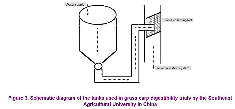 A review of the available data on the amino acid requirements and raw material digestibility of grass carp - Image 6