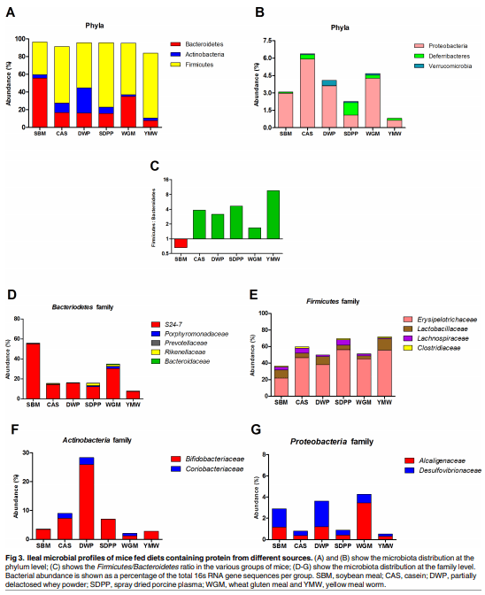 Dietary protein sources differentially affect microbiota, mTOR activity and transcription of mTOR signaling pathways in the small intestine - Image 5