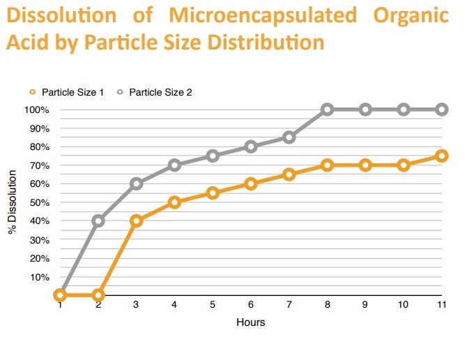 Decreasing Medicated Feed Additives and Improving Gut Health in Different Species with Microencapsulation - Image 3