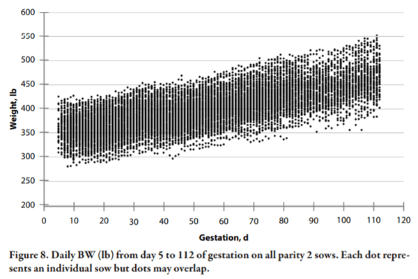 Lessons Learned from Managing Electronic Sow Feeders and Sow Body Weight Data - Image 8