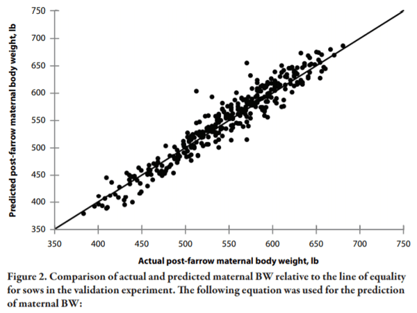 Generating an Equation to Predict Post-Farrow Maternal Weight in Multiple Parity Sows - Image 4