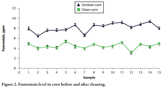 Cleaning Reduces Mycotoxin Contamination in Corn - Image 3