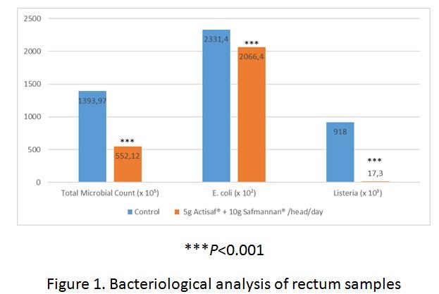 Actisaf® and Safmannan® help reduce microbial contamination in beef cattle carcasses - Image 2