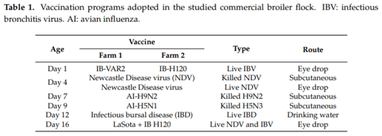 Field Efficacy of an Attenuated Infectious Bronchitis Variant 2 Virus Vaccine in Commercial Broiler Chickens - Image 1