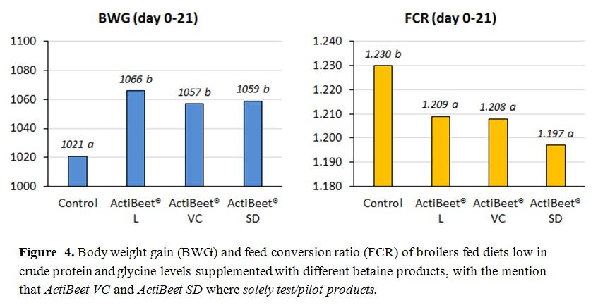 The interaction between betaine and crude protein and broiler feed - Image 7
