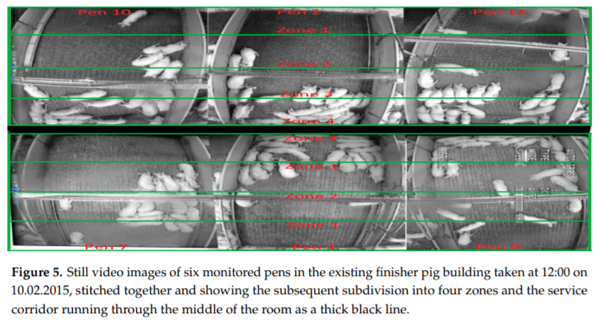 Using CFD Modelling to Relate Pig Lying Locations to Environmental Variability in Finishing Pens - Image 5