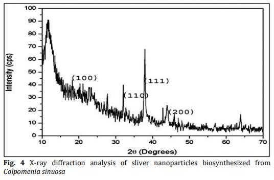 Biosynthesis and Characterization of Silver Nanoparticles from Marine Macroscopic Brown Seaweed Colpomenia sinuosa (Mertens ex Roth) Derbes and Solier - Image 5