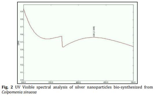 Biosynthesis and Characterization of Silver Nanoparticles from Marine Macroscopic Brown Seaweed Colpomenia sinuosa (Mertens ex Roth) Derbes and Solier - Image 2